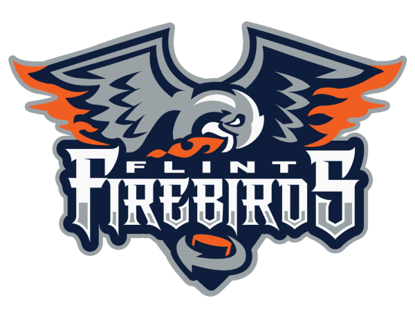 Flint Firebird Foundation